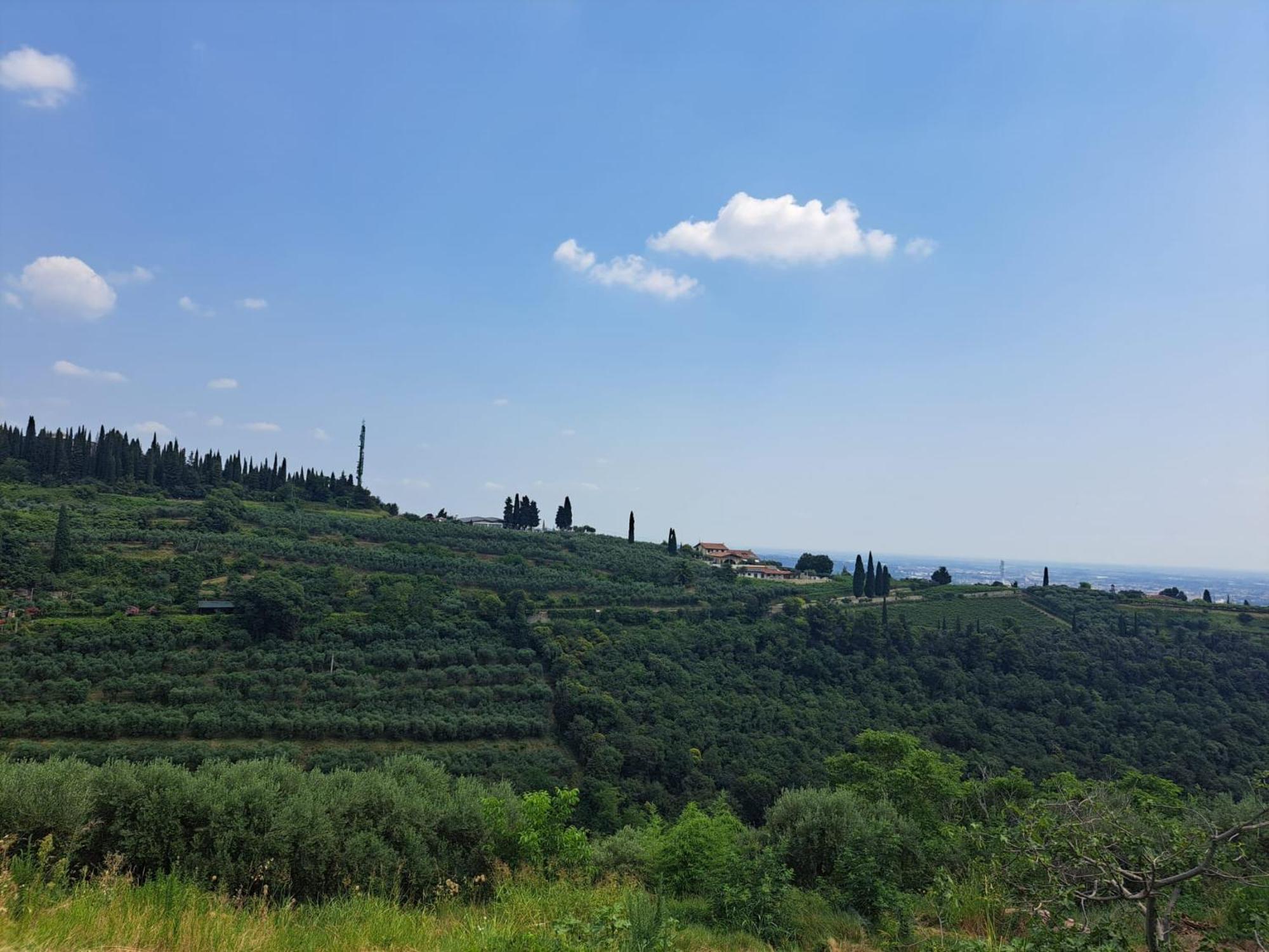 La Vineria Di San Mattia Villa Verona Oda fotoğraf